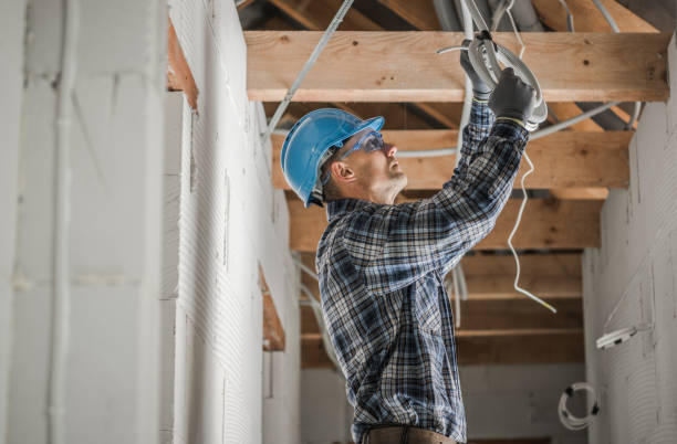 Best Electric Panel Repair  in Madill, OK